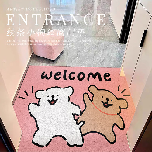 丝圈入户门地垫耐磨防滑可擦免洗