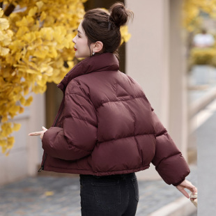 宽松高端时尚 新款 轻薄立领白鸭绒外套 羽绒服女2026冬季 小个子短款