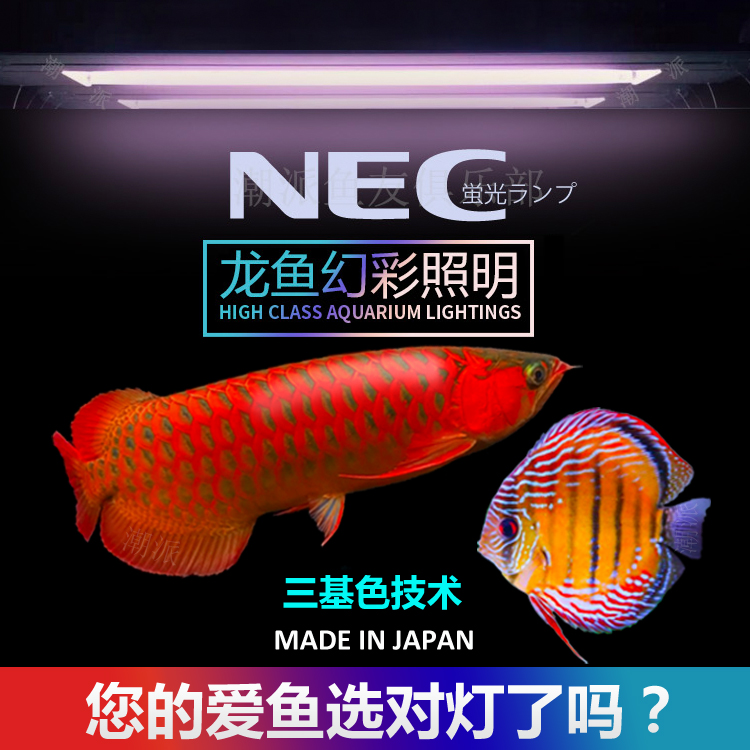 ÈÕ±¾NECµÆ¹ÜºìÁúÓÕÉ«T8Èý»ùÉ«»Ã²ÊDZˮµÆÒ°²ÊÂÞººË®×åÕÕÃ÷·ÀË®µÆ