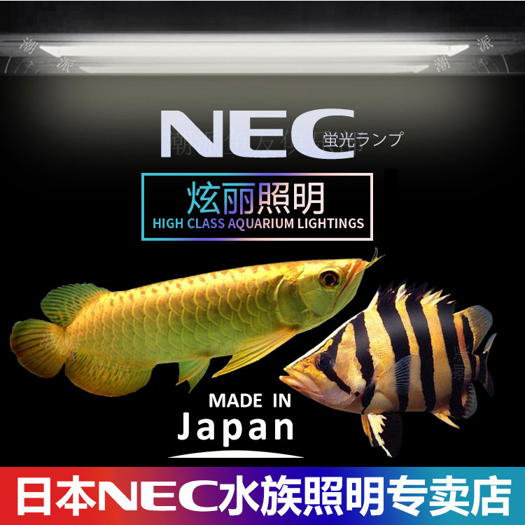 日本原装进口nec虎鱼南美灯管