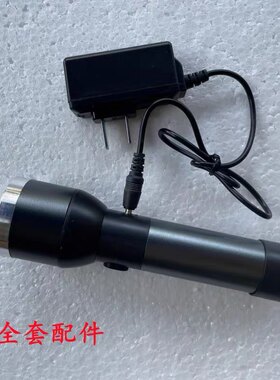 紫光迷你led进口强光手电筒