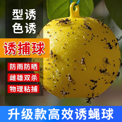粘虫球丝瓜果实蝇贴诱蝇球针蜂马蜂色引诱剂果蝇诱捕器双面黄板纸
