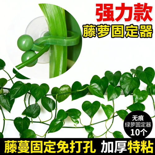 绿萝爬墙固定器绿植攀爬绿植爬墙神器夹子墙上无痕挂钩粘爬藤杆子