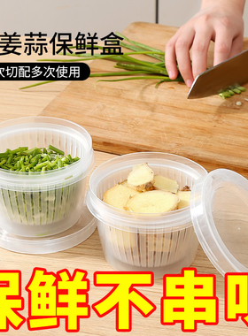葱姜蒜收纳盒辣椒香菜保鲜盒厨房适用备菜盒冷冻冰箱香葱蒜末葱花