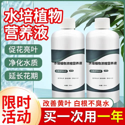 莲睡莲观音竹郁金香铜钱草通用