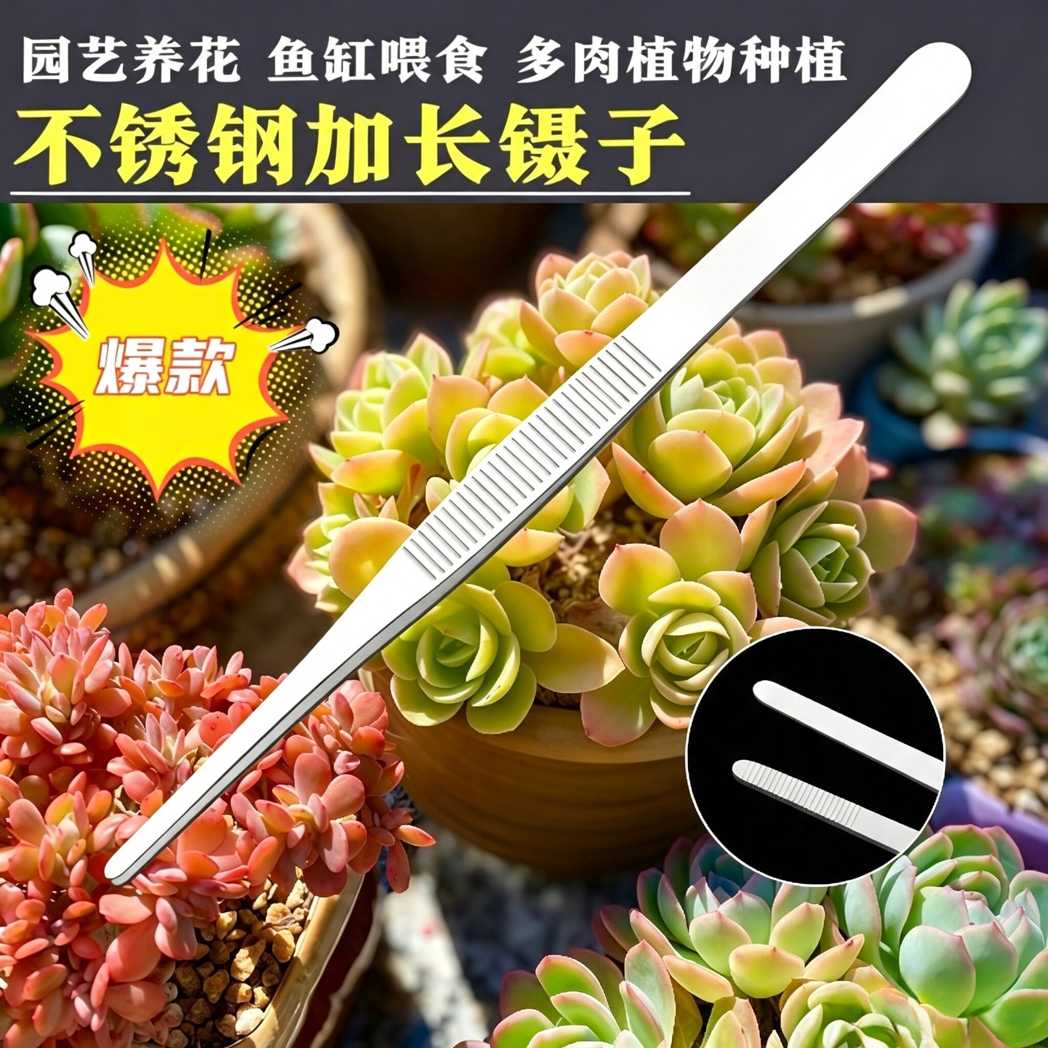 超长镊子不锈钢加长加厚取物夹子喂乌龟多肉园艺水草鱼缸工具蝎子