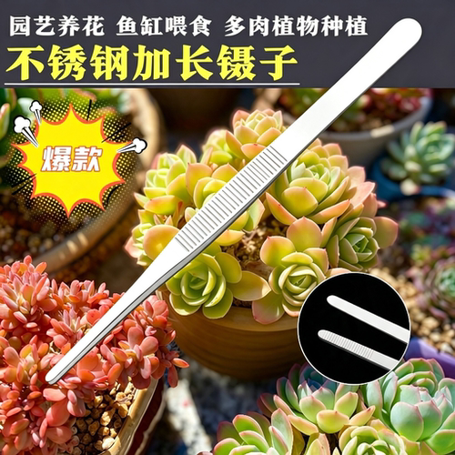 超长镊子不锈钢加长加厚取物夹子喂乌龟多肉园艺水草鱼缸工具蝎子