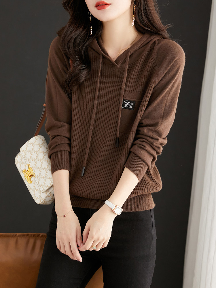 连帽针织毛衣秋季2023年新款打底衫爆款帽衫秋冬上衣女士卫衣外套