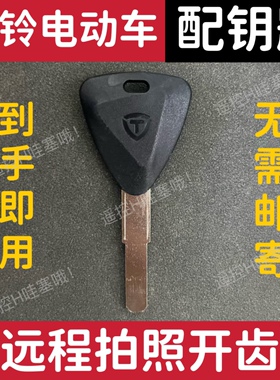 适用于台铃绿源爱玛雅迪小刀电动车钥匙远程拍照开齿图片配钥匙