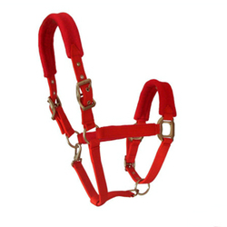 Article équitation en particules antidérapantes - Ref 1378832 Image 21