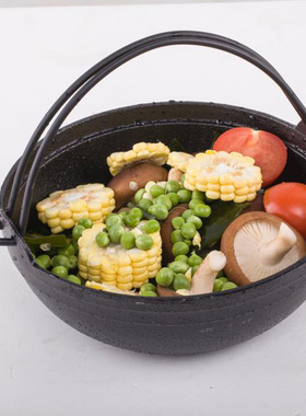 日式铸铁汤锅明火电磁炉家用补铁炖锅煲仔饭干锅商用生铁双耳提锅