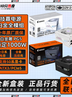 技嘉白金雕 850W 1000W 白金牌全模组 ATX 3.1 台式机电源 10年保