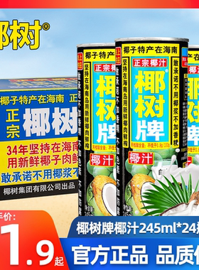 椰树椰汁植物椰奶整箱特批价