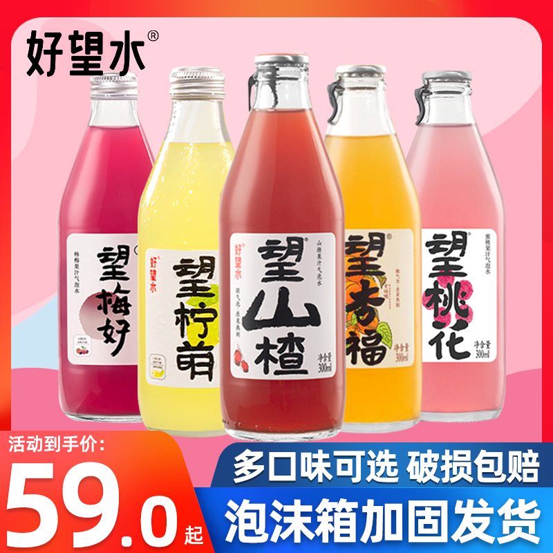 好望水望山楂330ml*6瓶