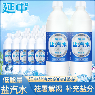 上海延中盐汽水600ml*20瓶整箱