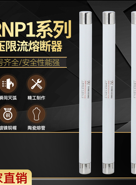 XRNP1-35~40.5KV/0.5A 1A 2A 3A 5A PT保险管 高压限流熔断器