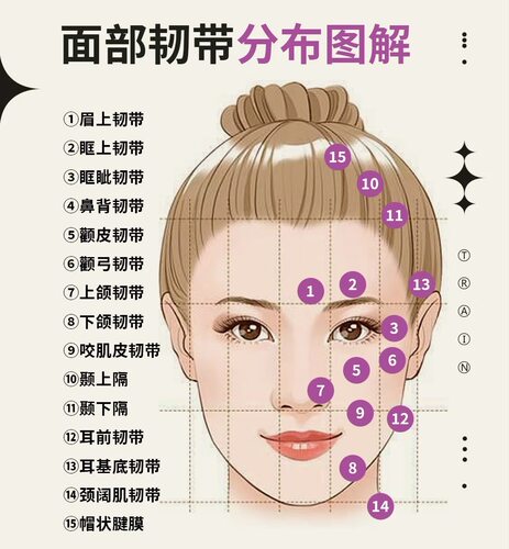 花靓子直播间专拍