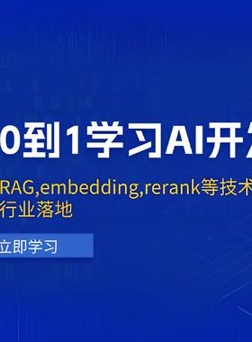 从0到1学习AI开发RAG,embedding,rerank技术行业落地课程资料教程