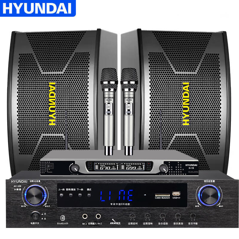 现代W-10A会议室音响套装10英寸三分频音响+充电麦克风 家庭KTV