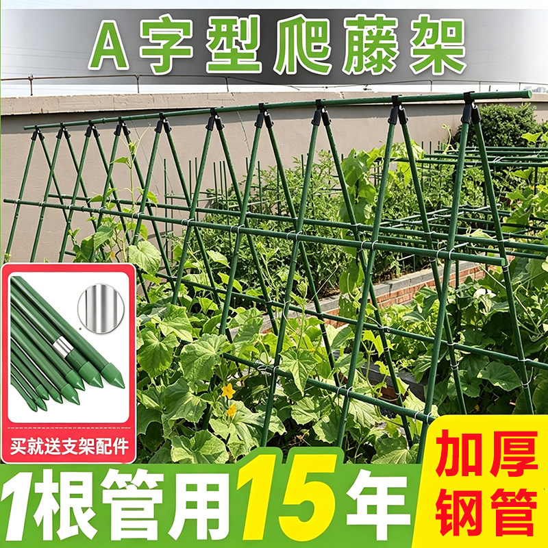 爬藤架黄瓜爬藤包塑钢管支撑杆