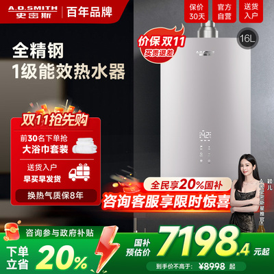 史密斯恒温大水量燃气热水器