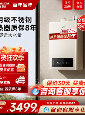 国补AO史密斯家用燃气热水器恒温升级耐用天然气13升EC3新品16升