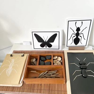 瑞吉欧开放性材料教具