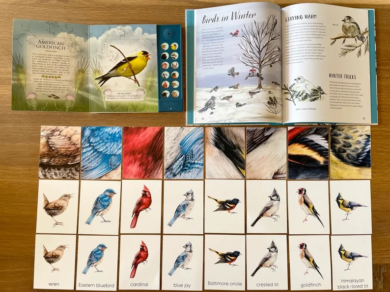 蒙氏鸟类羽毛图案配对卡片幼儿游戏卡片瑞吉欧华德福儿童自然游戏