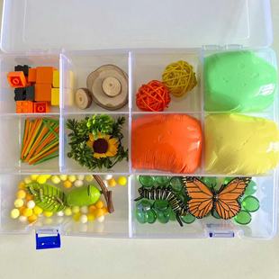 蝴蝶生长周期瑞吉欧感官盆盒开放性材料创意游戏早教儿童自然玩具
