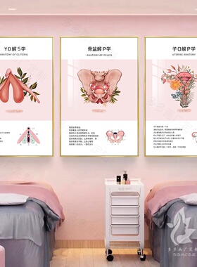 现代私密艺术生殖解剖挂画产后修复宣传挂画美容院医院墙壁装饰画