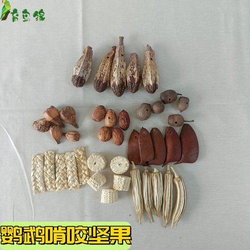 鹦鹉啃咬天然干果坚果啃咬玩具