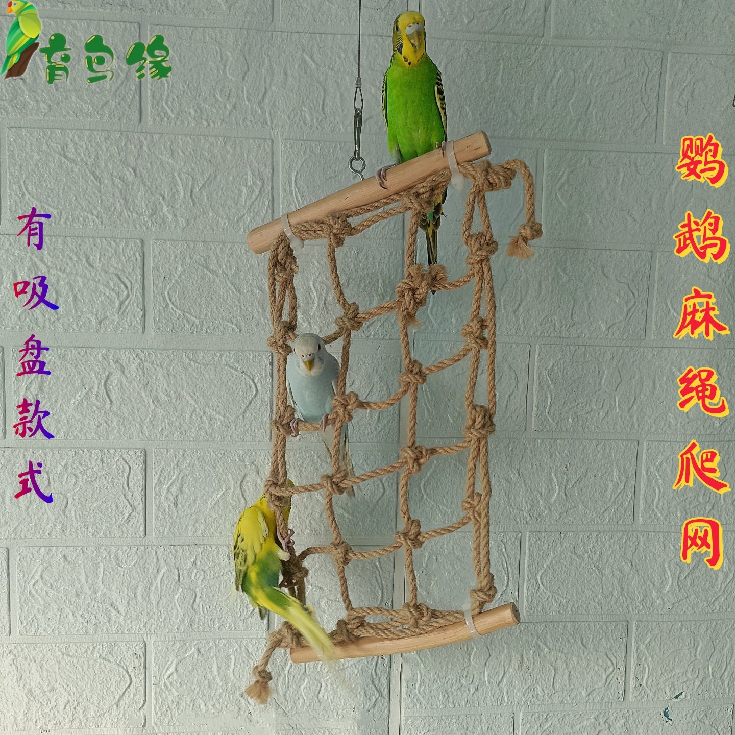 鹦鹉爬网吊网育鸟缘玄凤虎皮松鼠仓鼠宠物麻绳网攀爬训练玩具用品,宠物/宠物食品及用品,鸟禽其他,淘宝优惠券,粉丝福利购,淘宝优惠卷