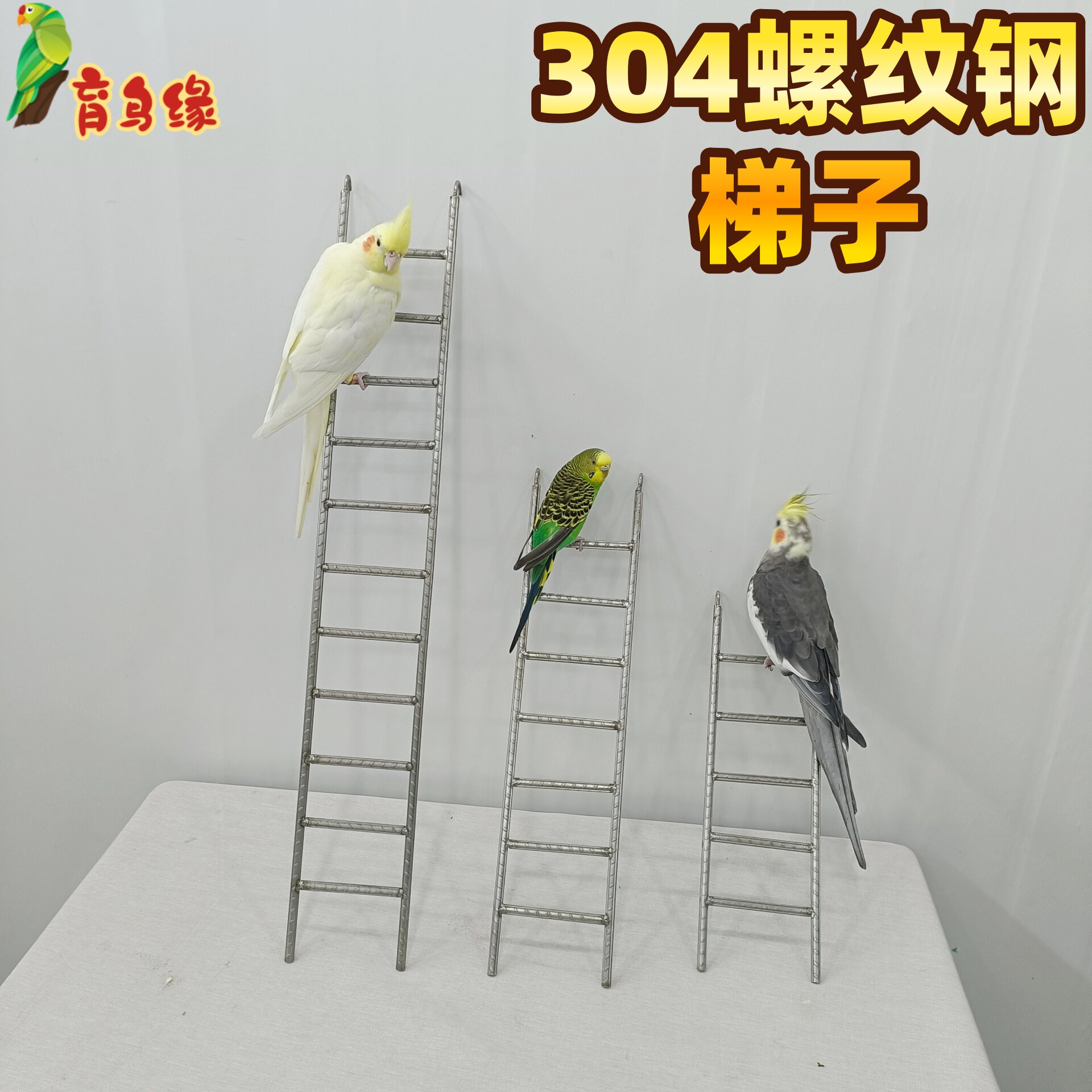 中小型鹦鹉304不锈钢鹦鹉梯子