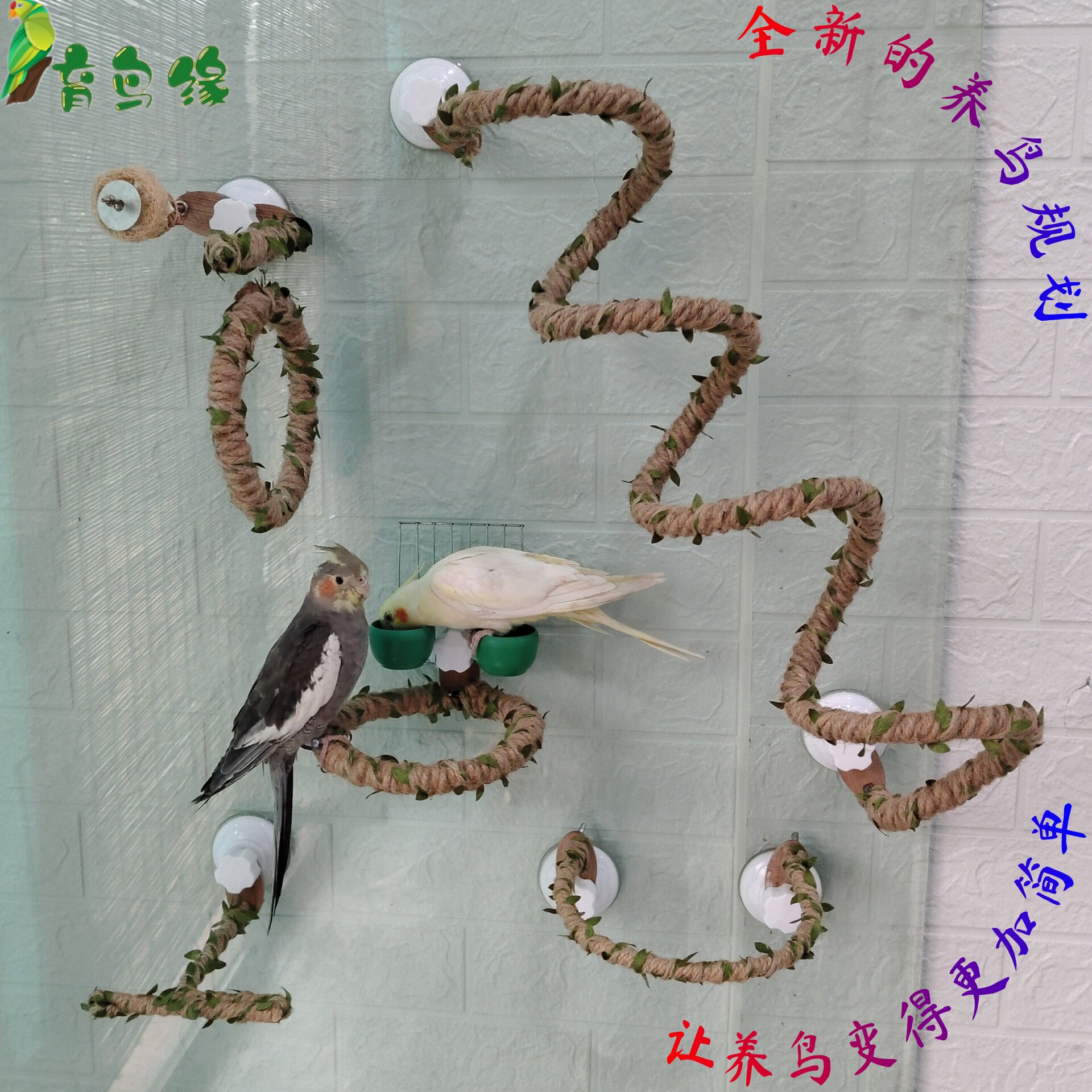 育鸟缘中小型鹦鹉透明吸盘站架图片