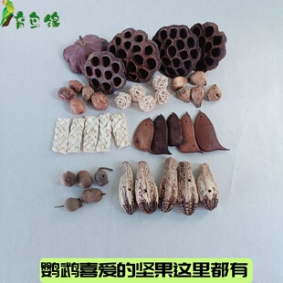鹦鹉啃咬新手专拍组合玩具天然杨桃秋葵干果实散果无色素解闷玩乐