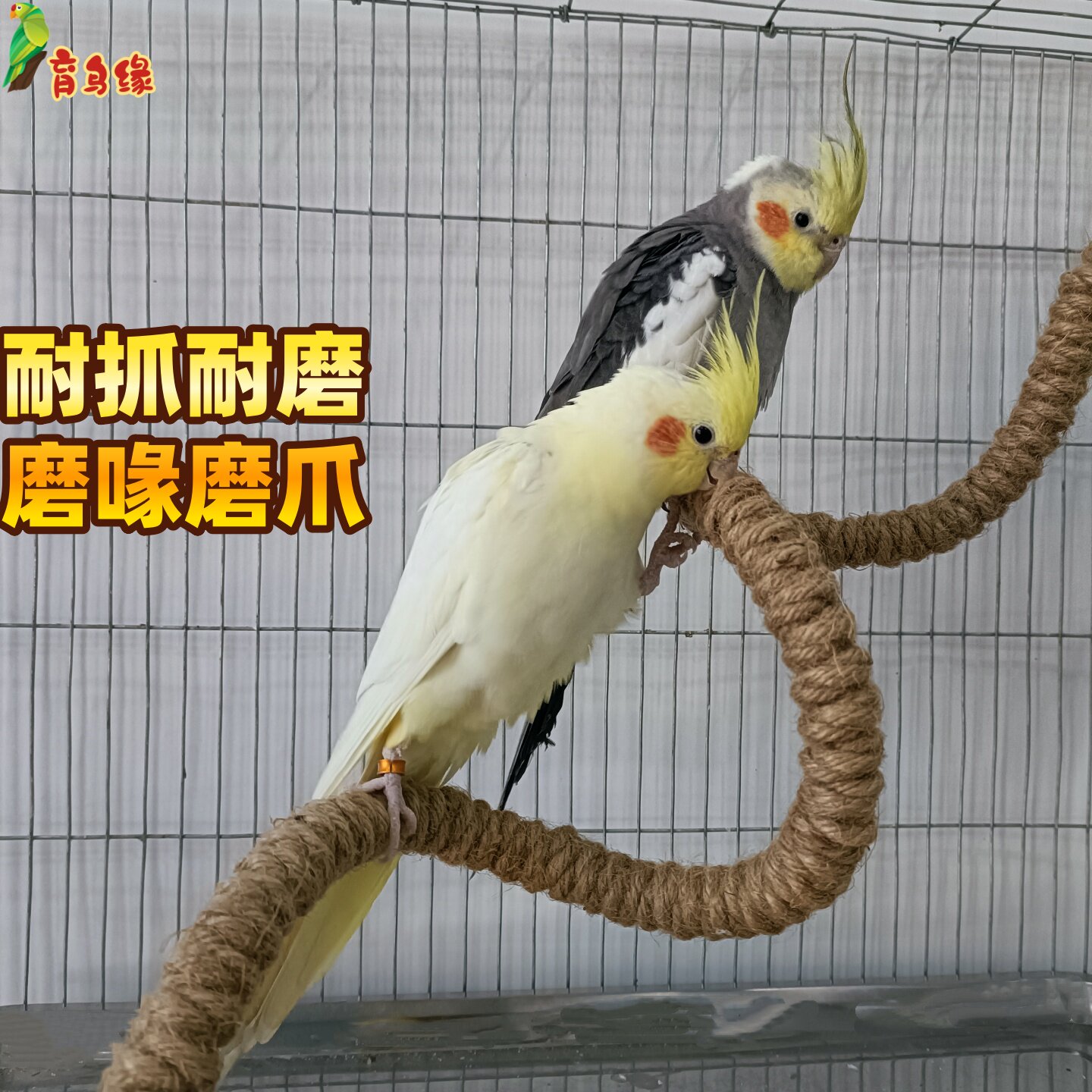 育鸟缘鹦鹉笼内爬绳原色颗造型图片
