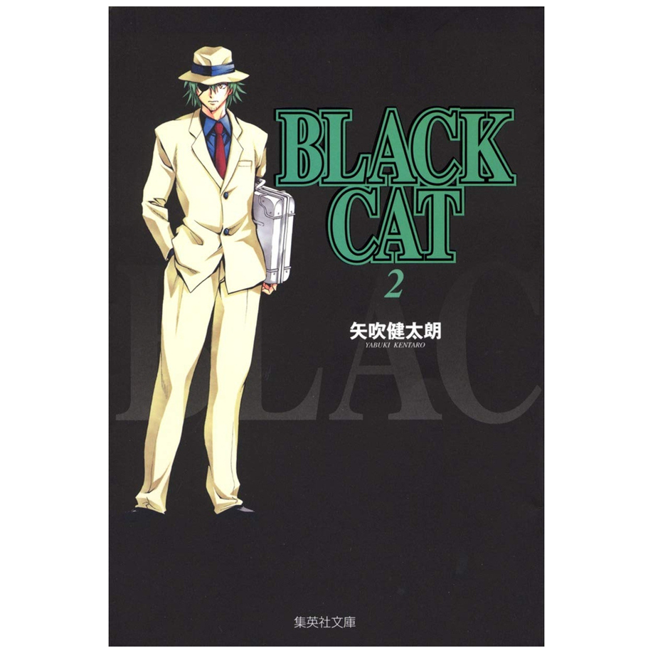 BLACKCAT黑猫爱藏版2