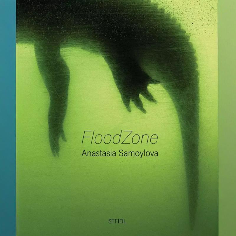 现货 英文原版  ANASTASIA SAMOYLOVA: FLOODZONE 阿纳斯塔西娅·萨莫约洛娃：浸水区域