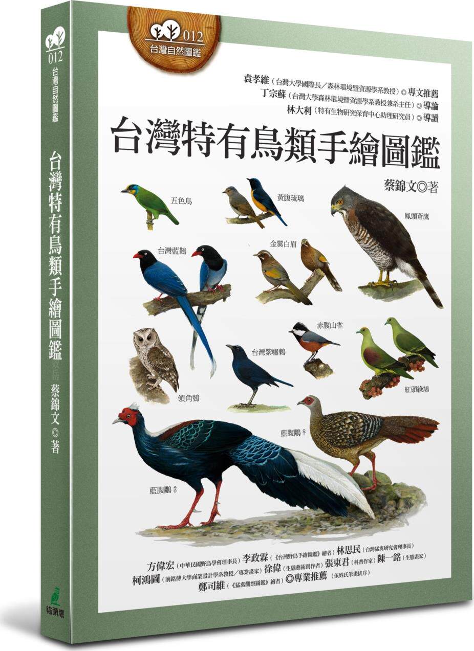 台湾特有鸟类手绘图鉴/猫头鹰