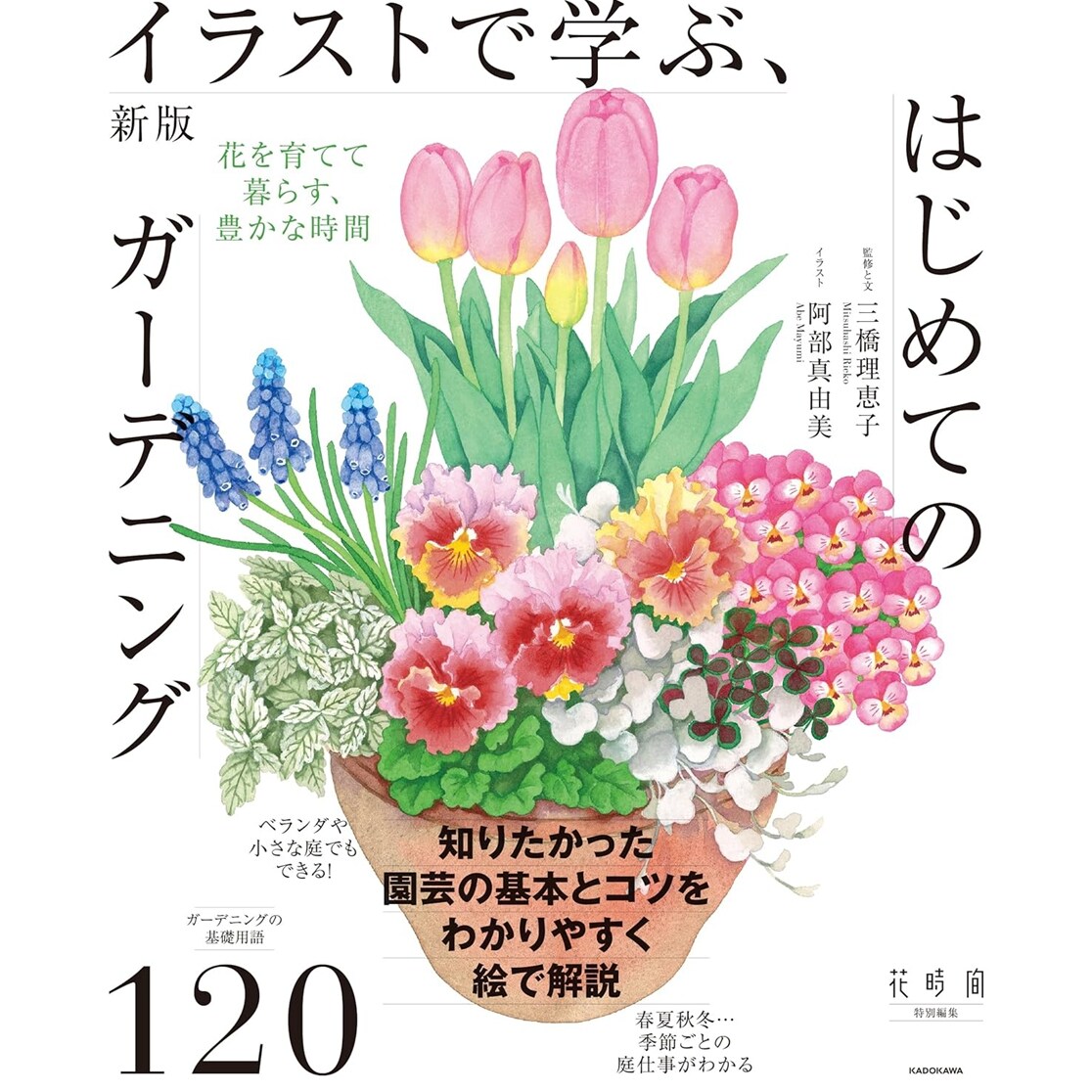 初学者的园艺养花生活