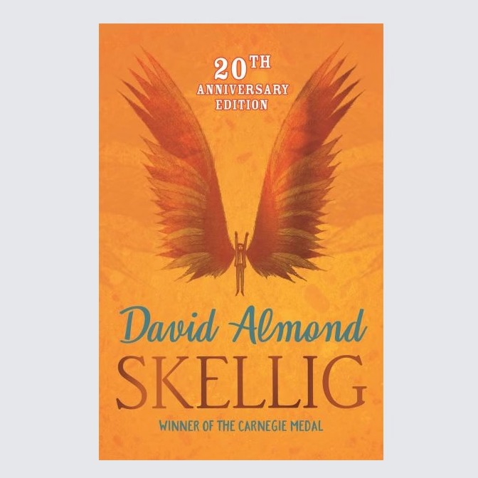 预售【外图原版英文】 斯凯里格鸟 Skellig 获奖作品 卡内基奖&惠特布莱德儿童图书奖 当天使坠落人间
