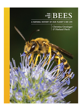 预售 英文原版 The Lives of Bees: A Natural History of Our Planet's Bee Life 普林斯顿自然生活系列：蜜蜂的生活：我们星球