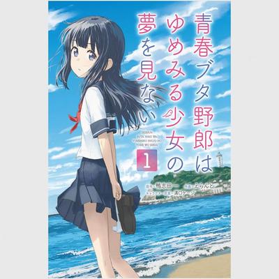 青春猪头少年不会梦到怀梦美少女