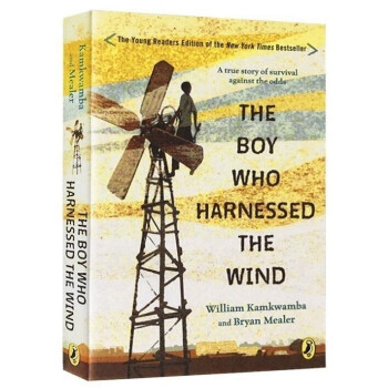 驭风少年纽约时报畅销书