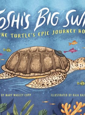现货 英文原版 Yoshi's Big Swim: One Turtle's Epic Journey Home Yoshi的大游泳：一只乌龟回家的史诗之旅