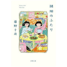 预售 日文原版 団地のふたり 住宅区的两人 藤野千夜 日本文学小说