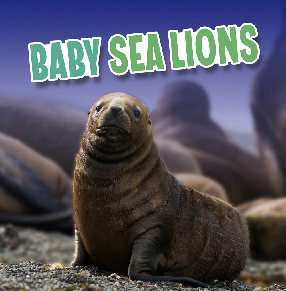 预售【外图原版英文】baby sea lions小海狮
