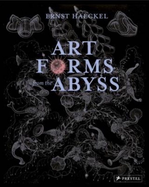 现货【外图英文艺术】Art Forms from the Abyss 博物学家Ernst Haeckel
