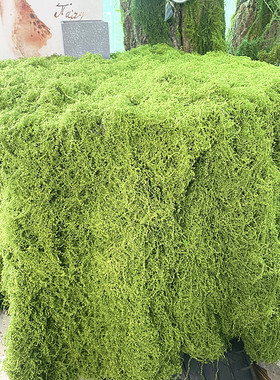 仿真苔藓草皮仿生人造假青苔微景观布置摆件草坪盆景盆栽铺面造景