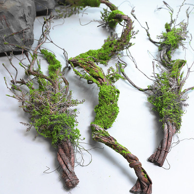 商场造景枯藤青苔枯藤